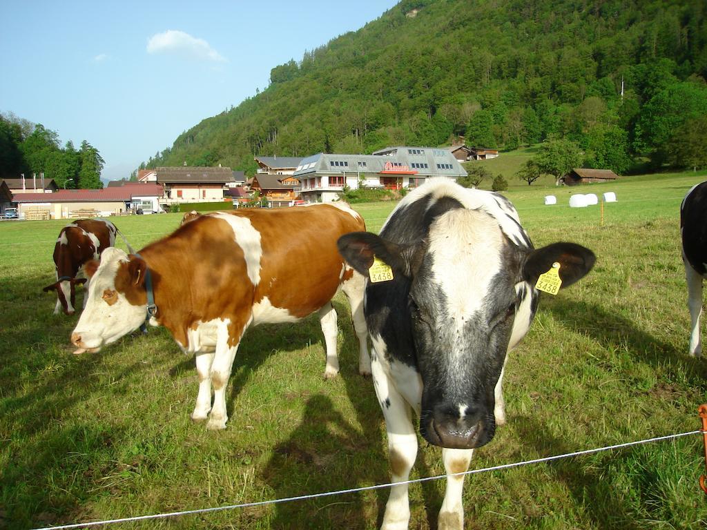 Hotel Milan B&B Ringgenberg  Kültér fotó